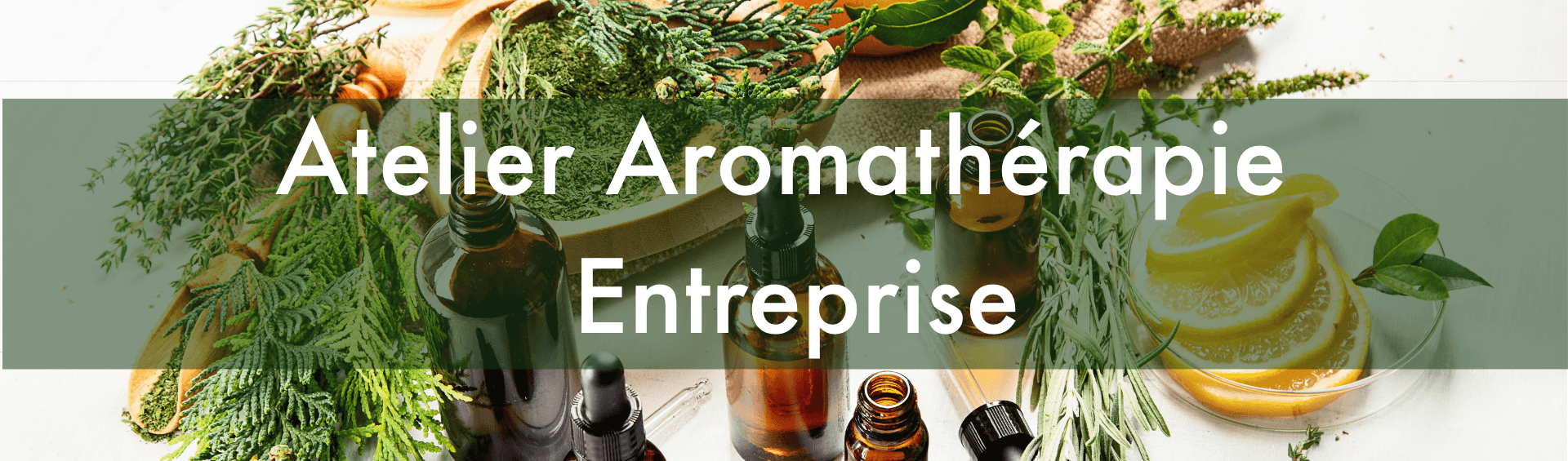 da4917cb 24b2 487e 9c96 c8f3c264157f